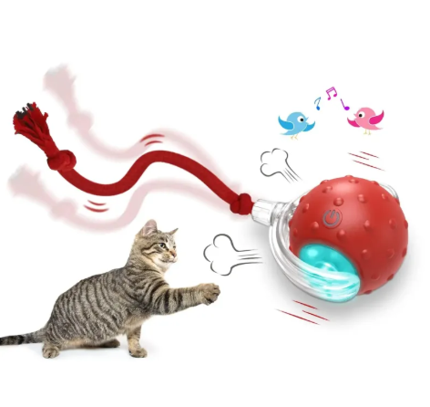 Toys & Play