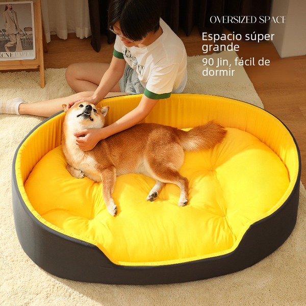 Pet beds, carriers, and travel accessories from DwellsFind