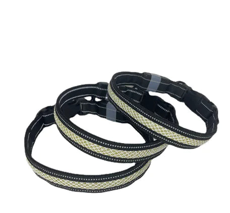 LED dog collar glowing during a night walk