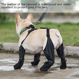 All-Weather Waterproof Dog Boots