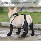 Set of waterproof dog boots, top view