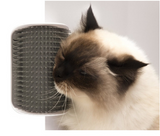 Cat self-grooming wall brush for indoor cats