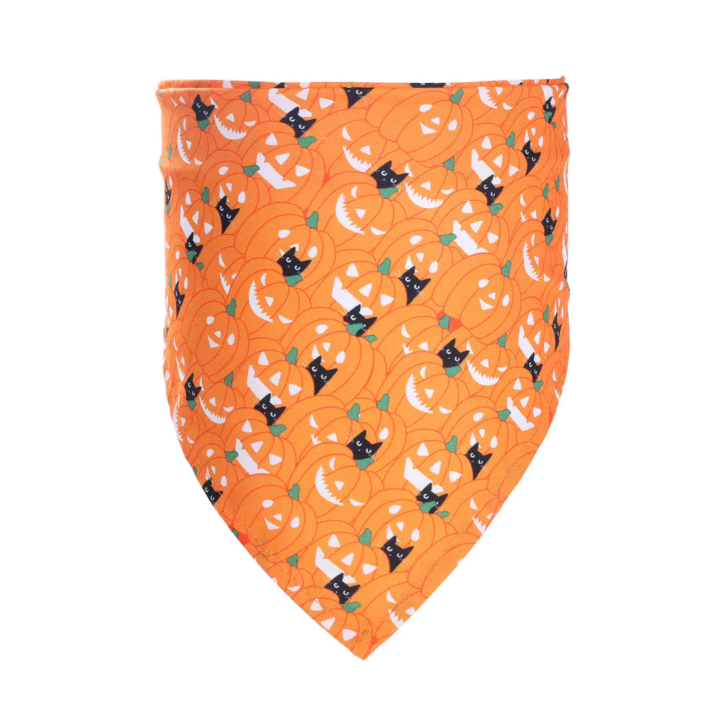 Halloween dog bandana with pumpkin print tied on a dog