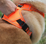Waterproof dog harness with handle