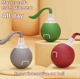 Interactive cat toy ball for indoor cats