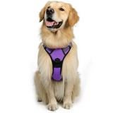 Breathable Reflective Dog Safety Vest