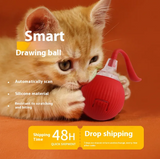 Interactive cat toy ball for indoor cats