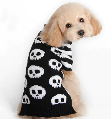 Dog wearing Halloween pumpkin sweater