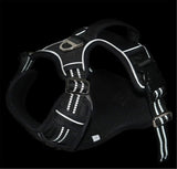 Waterproof dog harness with handle