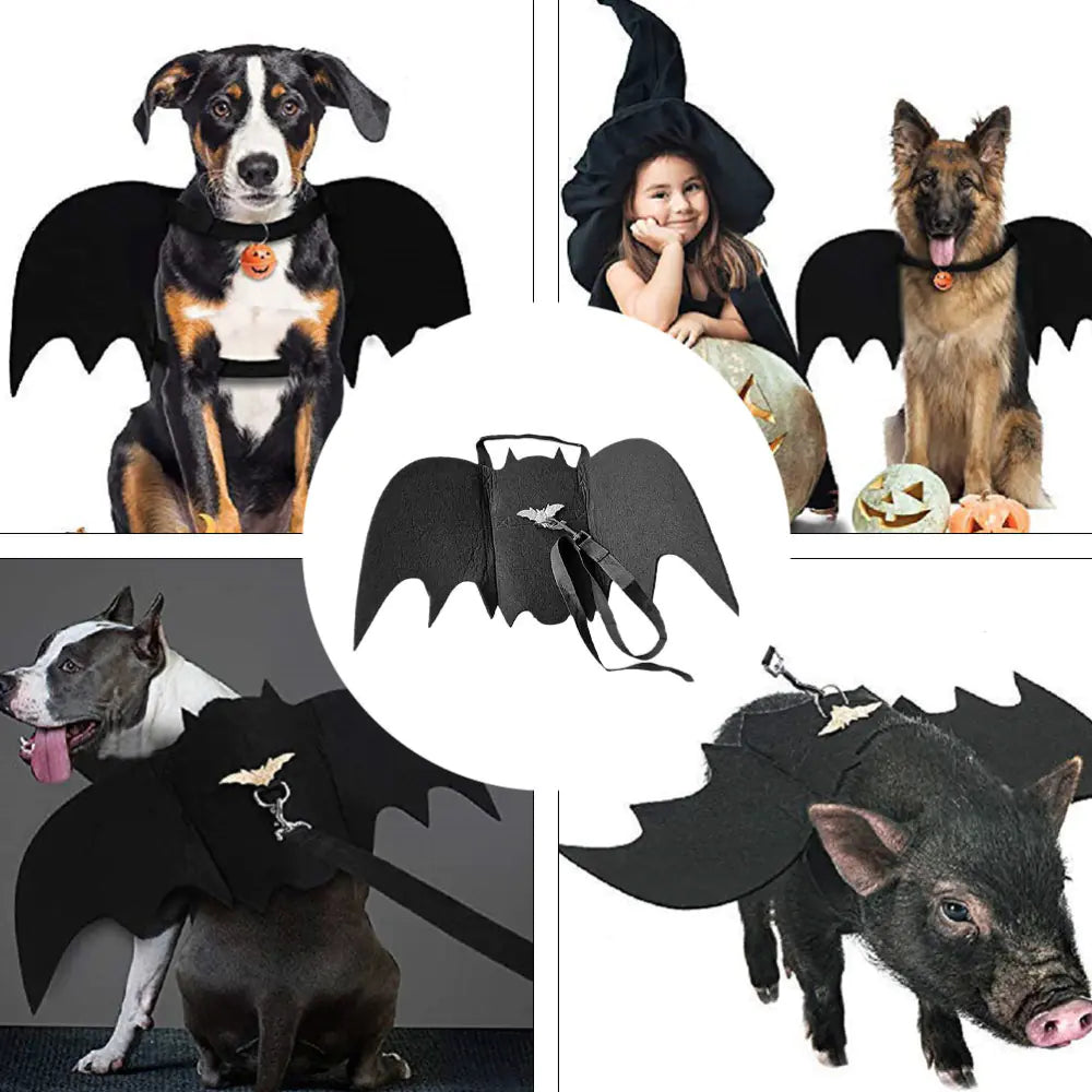 Bat wing dog costume in felt with matching lead