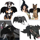 Bat wing dog costume in felt with matching lead