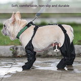 Dog wearing waterproof boots outdoors