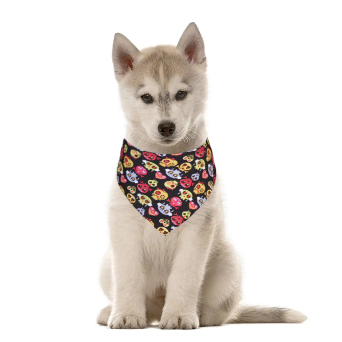 Halloween lace scarf for cats and dogs with skull design