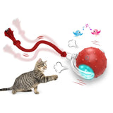Interactive cat toy ball for indoor cats