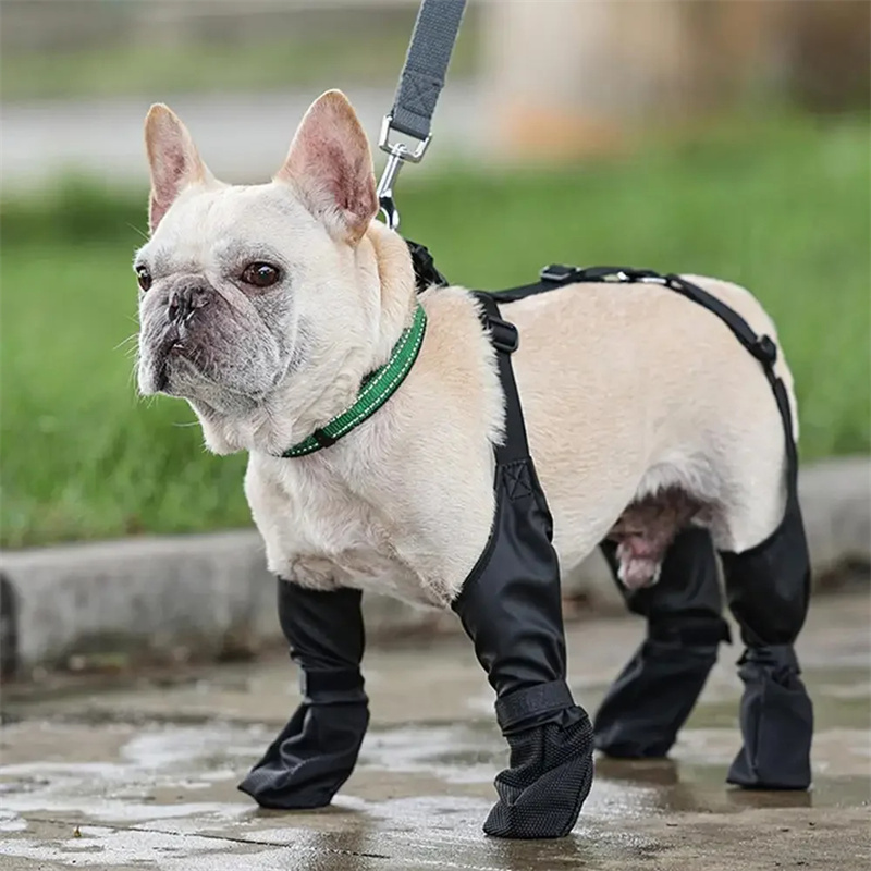 All-Weather Waterproof Dog Boots