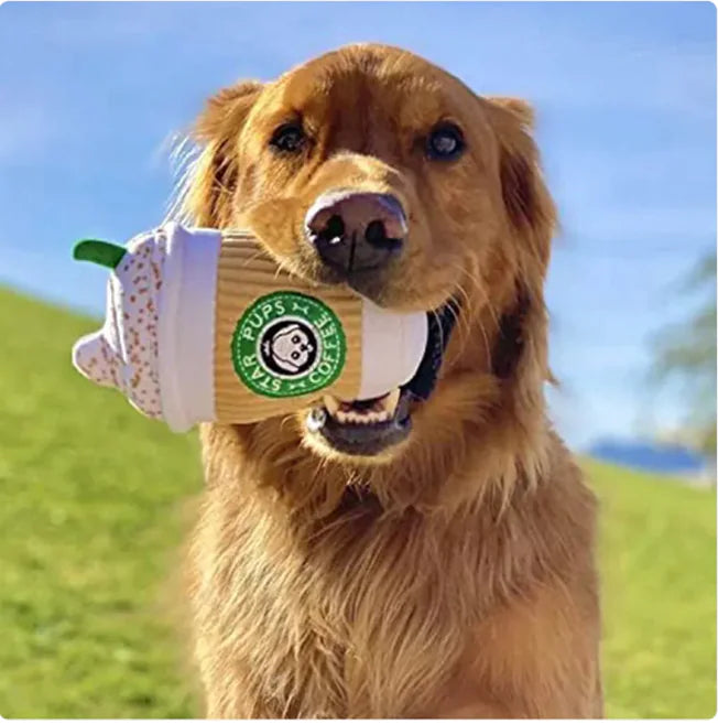 Pumpkin spice latte plush squeaky dog toy