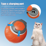 Speedy Tail USB Rechargeable Interactive Cat Toy