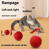 Interactive cat toy ball for indoor cats