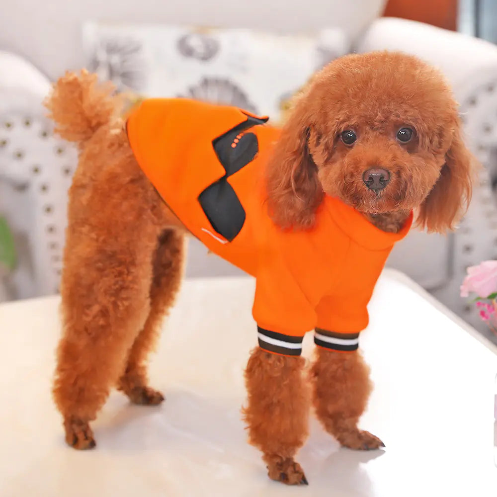 Pumpkin hoodie dog costume detail
