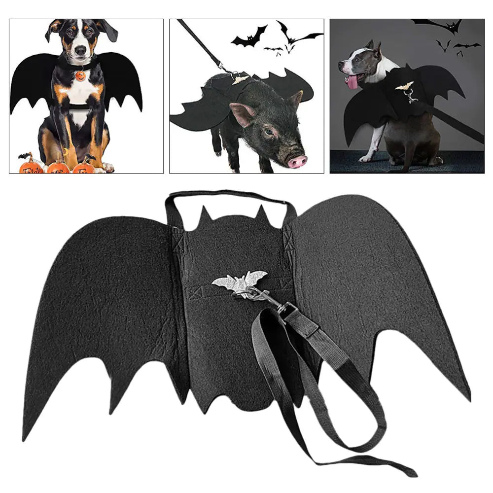 Bat wing costume worn by a small dog
