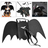 Bat wing costume worn by a small dog
