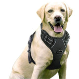 Close-up of reflective strip detail on dog vest